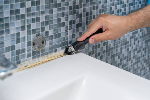 Certified Mold Removal in Des Plaines, IL