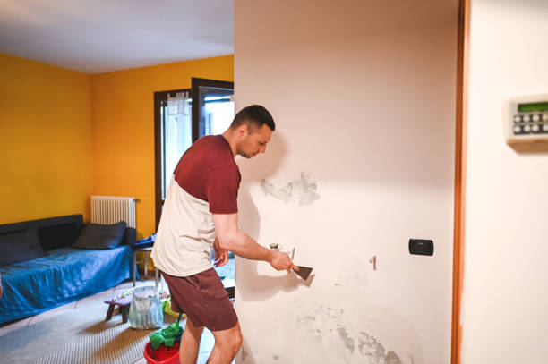 Best Mold Removal Company Near Me  in Des Plaines, IL